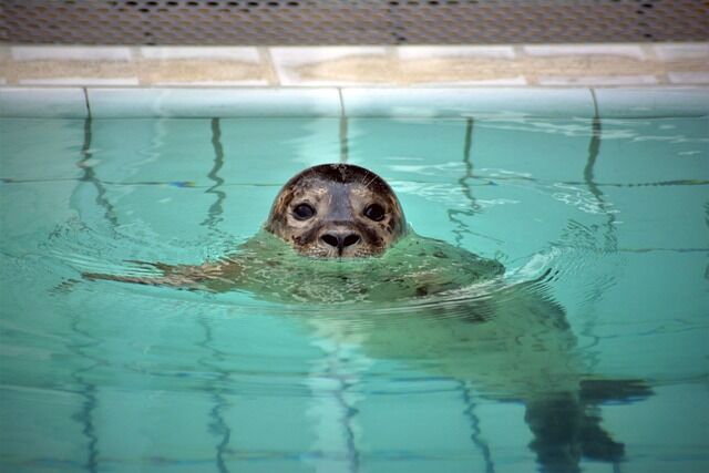 Ferienhaus Ostfriesland - Umgebung